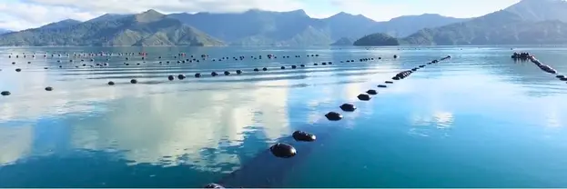 Aquaculture Farm Banner 623x208px